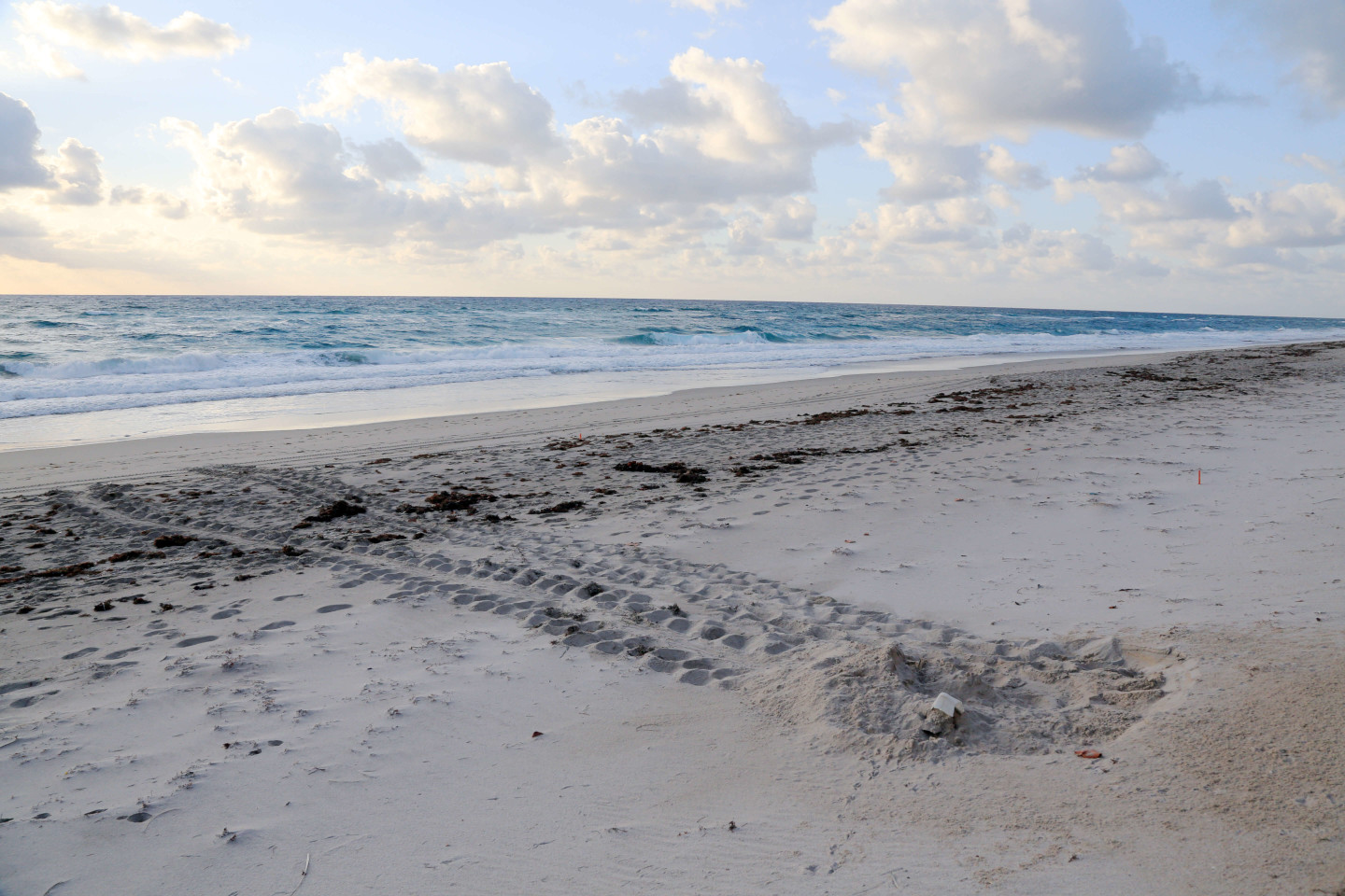 Wildlife Refuges Scenic Trails And Indian River Lagoon Are Native