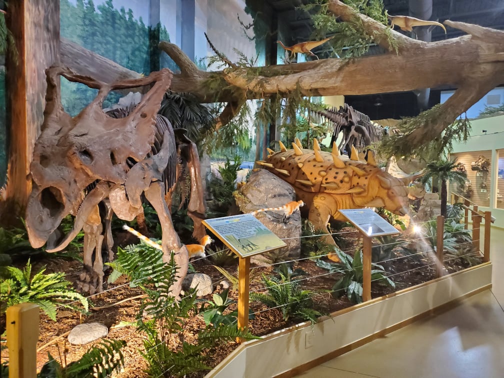 Dinosaur Store and Museum of Ancient Cultures