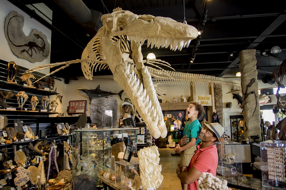 Dinosaur Store in Cocoa Beach