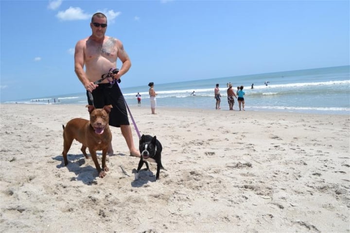Canova Beach Park Man Walking Dogs on Beach