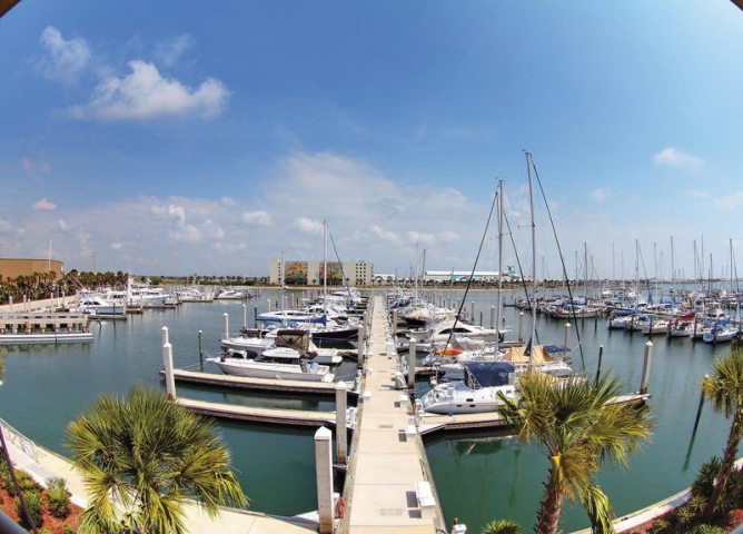 Ocean Club Marina