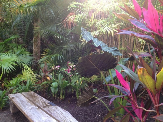 FIT Botanical Gardens Bench Among Flora