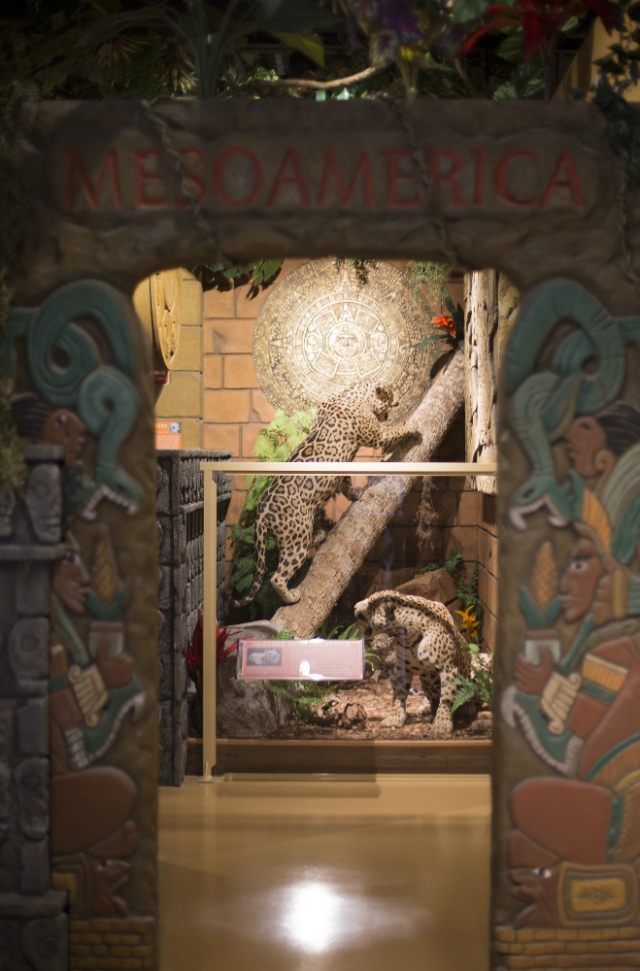 Museum of Dinosaurs & Ancient Cultures Mesoamerica