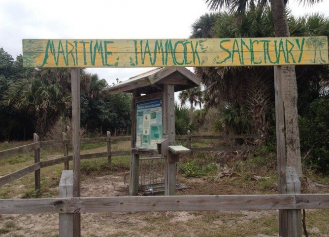Maritime Hammock Sanctuary Entrance