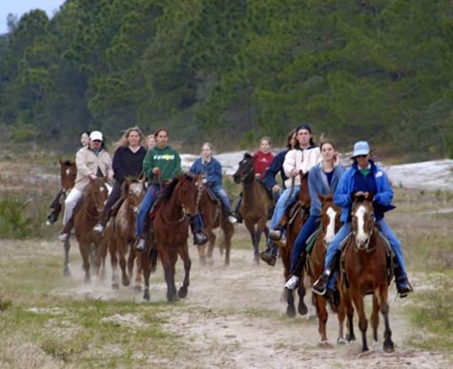 Florida Horseback Trail Rides Group Ride