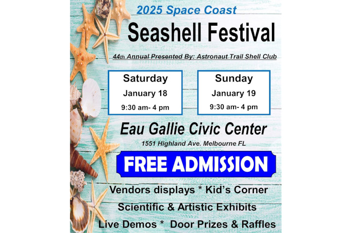 Space Coast Seashell Festival Flyer