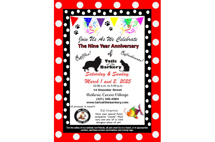 TaB-9th-Anniversary-2025 Flyer