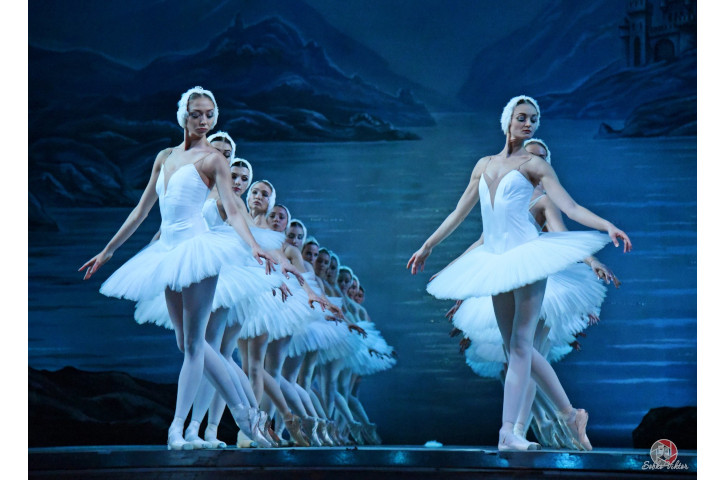 Swan Lake with Live Symphony Orchestra 1