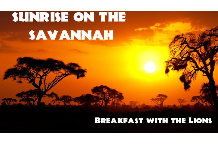 Sunrise on the Savannah Banner