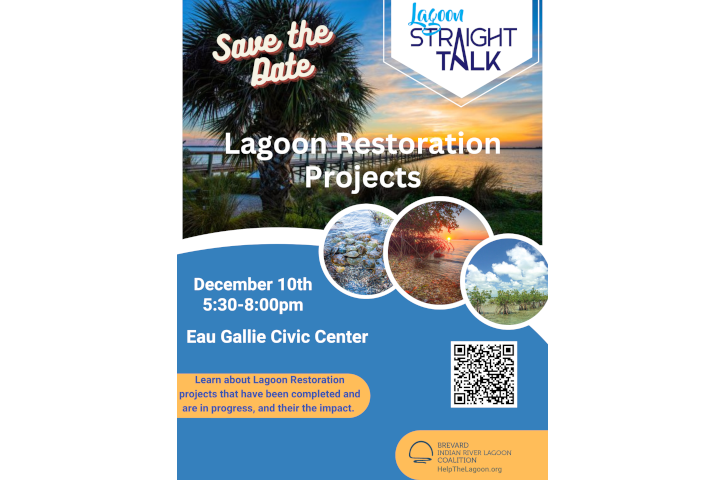 Lagoon Straight Talk Flyer