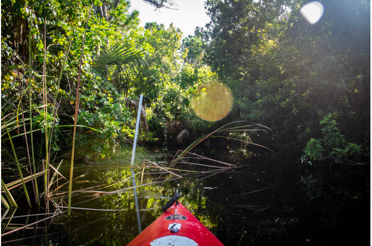 World Wetlands Day Photo