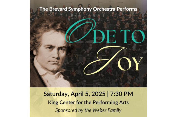 Brevard Symphony Orchestra Ode to Joy Flyer